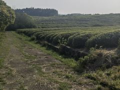-凤凰沟景区
