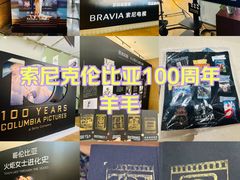 -Sony Store 索尼(上海淮海中路店)