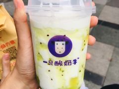 -一只酸奶牛(八一路店)