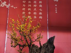 -颐和园