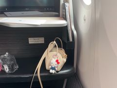 -广州白云国际机场-T2航站楼
