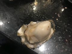 海蛎子-龍歌自助小火锅(崂山丽达店)