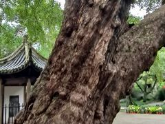 -无锡惠山寺