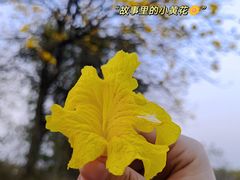 -松山湖风景区松湖烟雨