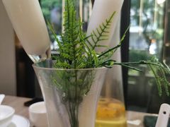 -探窝·竹笙椰子鸡(杨箕店)