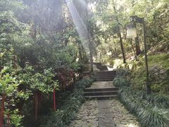 -梦姑塘文化公园
