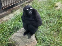 -石家庄市动物园