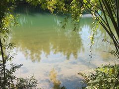 -苏家围·东江画廊旅游景区