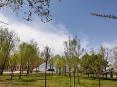 -亿利库布其七星湖沙漠生态旅游区