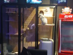 -瞳·实景密室逃脱(护国店)
