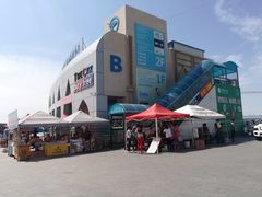 -霍尔果斯国门景区