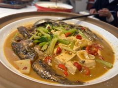 -红椒香·闽北光泽菜·宴请聚会(奥体店)
