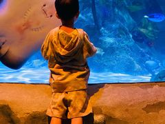 -沈阳海洋探索中心