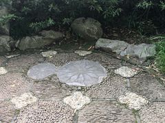 -汇龙潭