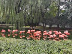 -石家庄市动物园