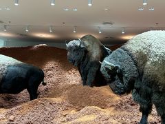 -深圳湾万象城(南山店)