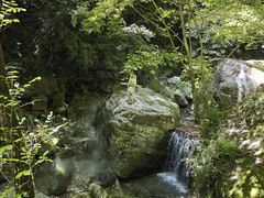 -牛背梁国家森林公园