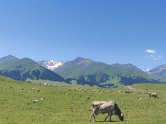 -新疆那拉提国家旅游度假区