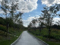 -东方绿舟景区
