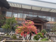 -东方艺术博物馆