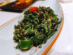 中宁枸杞苗-宁夏国强手抓羊肉·清真菜(未央路凤三店)