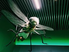 -杭州工艺美术博物馆