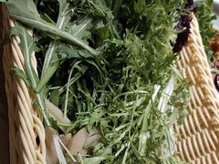 -鸽子窝(黄村店)