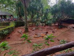-海南热带野生动植物园