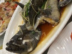 清蒸石斑鱼-红树林顺御楼(石楼店)