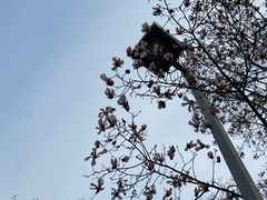 -白塘生态植物园