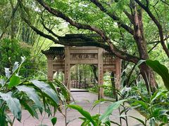 -峨眉山报国寺