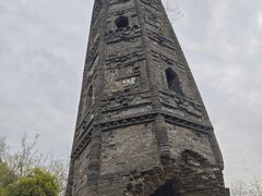 -上海佘山国家森林公园天马山园