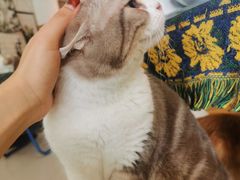 -平行世界·猫咖(首经贸店)