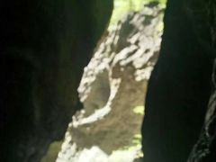 -牛背梁国家森林公园