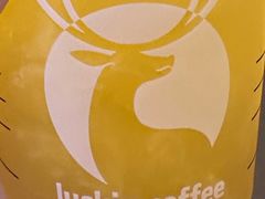 -瑞幸咖啡(罗湖投资控股大厦店)