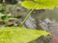 -南通洲际绿博园