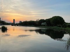 -泰丰公园