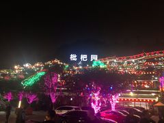 -枇杷园食为鲜火锅(南山店)
