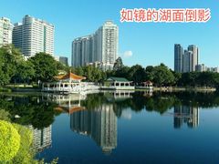 -荔湾湖公园