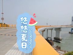 -枸杞岛