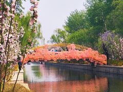 -元大都城垣遗址公园