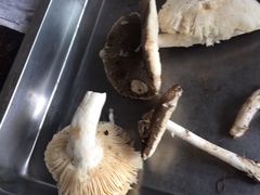 -兴福老面馆(寺路街店)