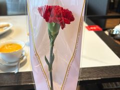-金贵源食神(楚河汉街店)