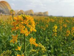 -中国天府农业博览园