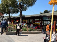 -仙岳公园