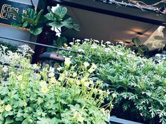 -转山咖啡(松柏社区店)
