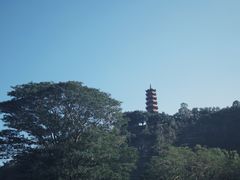 -南沙蒲洲花园