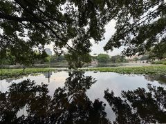 -荔湾湖公园