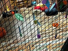 -华夏优加影城(长和国际店)