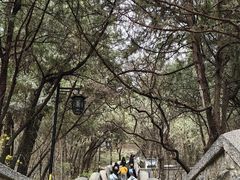 -千佛山风景名胜区